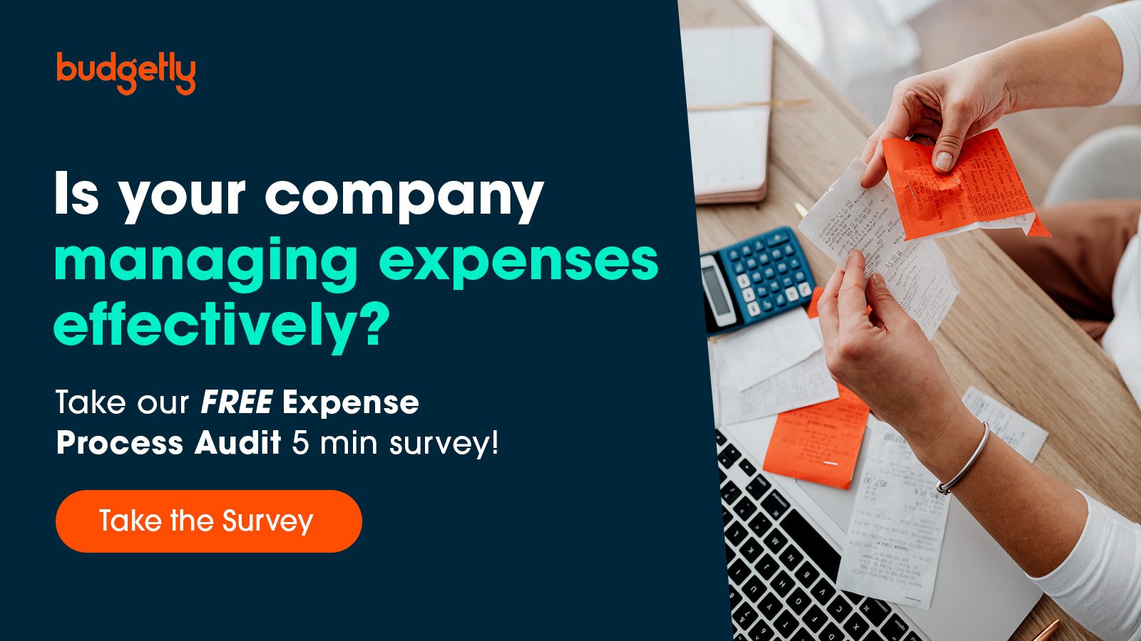 Free Expense Process Audit Budgetly